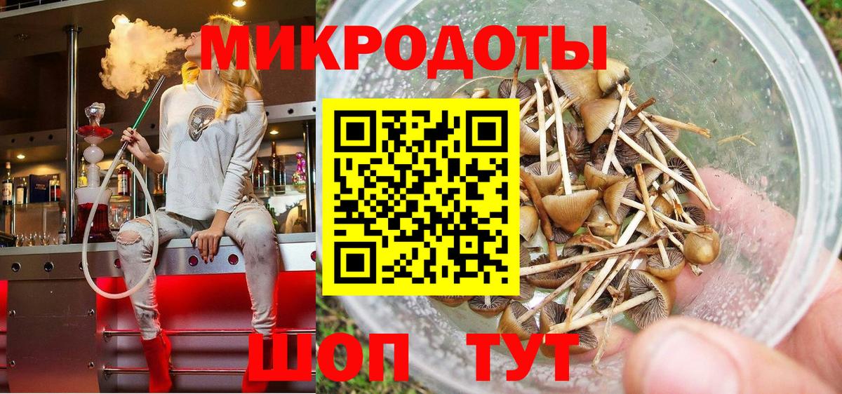Мурманск  Псилоцибиновые грибы мухоморы  Вход с VPN 